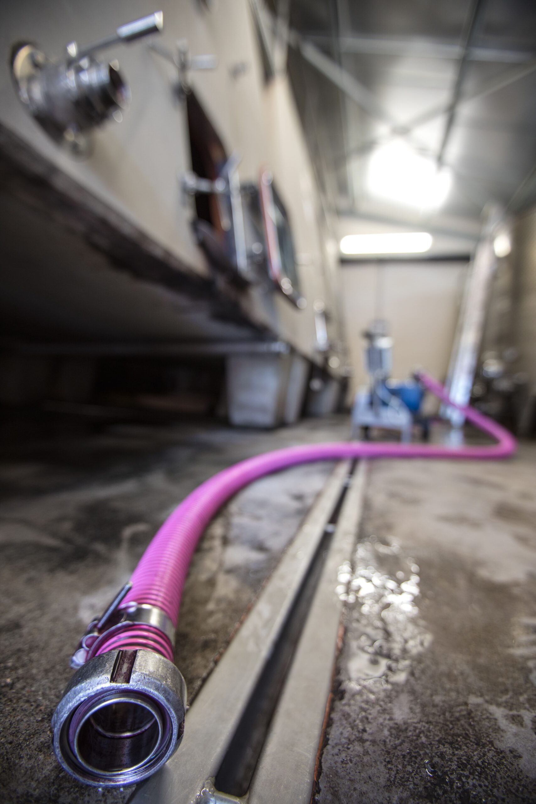 savoir faire usseglio